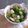 しょしょまろ's cooksnap of when they made ＊ゆで鶏と茗荷の梅ポン和え＊*.