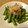 にきけん's cooksnap of when they made ５分でいんげんおかか和え.