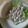ricomimi's cooksnap of when they made マーガリンで豚の生姜焼きサンド.