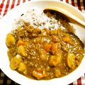 てらよう's cooksnap of when they made うちのヘルシーおろしカレー.