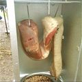 としととし's cooksnap of when they made 簡単手作り！燻製ベーコン.