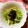 ma___111's cooksnap of when they made アボカドのサラダ*＾-＾*.