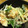 こっぷぽ～ん's cooksnap of when they made 里芋と蓮根の梅マヨサラダ.