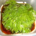 たいちまん's cooksnap of when they made 簡単万能☆大葉のナムル.