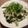 Yokchina's cooksnap of when they made 簡単ツナマヨ丼.