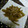 じゅんじゅん18's cooksnap of when they made ふきのきんぴら風.