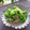 まろんかふぇ's cooksnap of when they made ピーマンとしらすのとろりん♪.