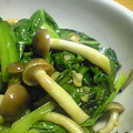 さらにや's cooksnap of when they made あと一品！小松菜としめじのオイスター炒め.
