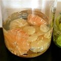 ゆうかちゃんまんま's cooksnap of when they made グレープフルーツ酒♪.
