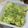 なっちゃん＊♪'s cooksnap of when they made バジルinニョッキ★バジルクリームソース.