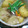 ゆきんこよ's cooksnap of when they made 簡単☆丸ごと新玉ねぎのポトフ.