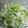 つりTOM's cooksnap of when they made 応用自由☆さっぱりしらすと水菜のサラダ.
