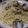 ぶーこん's cooksnap of when they made 本格的！リストランテのボンゴレビアンコ.