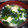 ぴょるっこ's cooksnap of when they made わかめと卵のスープ.