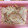 スリーエクボ's cooksnap of when they made もやしと豚肉のレンジ蒸し.