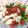 Machalin's cooksnap of when they made ほうれん草とささみの梅ポンサラダ.