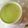 Ma＊Chan's cooksnap of when they made 抹茶プリン.