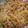 しろくまのしましま's cooksnap of when they made サクサク☆チョコチップクッキー.