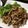 ポメちょん's cooksnap of when they made 豚肉ザーサイ炒め♡.
