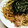 にゃおら。's cooksnap of when they made たっぷりきのことサーモンの和風パスタ.