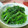 こよりこよ's cooksnap of when they made 小松菜の塩炒め.