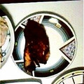 aya_0517's cooksnap of when they made ぶりの照り焼き.