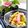 pappatyan's cooksnap of when they made 春雨なくても切り干し大根で中華風サラダ♪.