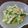 ラピュタ姫's cooksnap of when they made もやし中華サラダ.
