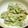 みどりこぴん's cooksnap of when they made 簡単！そら豆のサラダ.