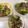 ひまココ's cooksnap of when they made ブロッコリーと豚肉のあまから。.