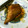 あいら52's cooksnap of when they made からすかれいの煮付け.