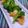 NAGANO久留米's cooksnap of when they made ☆簡単！マジ旨！！鶏マヨちゃん☆.