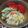 かあたらあ's cooksnap of when they made キャベツのカニ風味サラダ（●＾o＾●）.