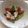 ま、あ、や's cooksnap of when they made アスパラささみの中華風玉ねぎドレッシング.