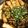 gongorope's cooksnap of when they made カフェごはん♪カレイと蓮根のテリヤキ丼.