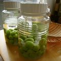 めぐろかも's cooksnap of when they made 梅500gで梅酒.