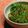 しやわし's cooksnap of when they made ご飯に合う合うピーマンの味噌炒め.