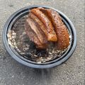 ななぞぅ's cooksnap of when they made 手作り♪超簡単自家製燻製ベーコン♪.
