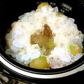 かぅにゃ's cooksnap of when they made 炊飯器を使って梅ジュース.