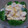 パルタ３２６'s cooksnap of when they made わたしの☆えびマヨ.