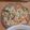 しろくまりん's cooksnap of when they made ぽりぽり★切り干し大根サラダ.