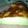 yumi_kitty's cooksnap of when they made 炊飯器でチーズケーキ.