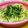 ニャーコ♪'s cooksnap of when they made 納豆好きによる納豆好きのための納豆そば.