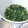 gomadachs's cooksnap of when they made チーズでコクうま！大根葉のオイマヨ炒め.