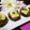 snoopyayoi's cooksnap of when they made ナスのひとくちピザ～柚子コショウ風味✿.