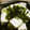 maruru-nn's cooksnap of when they made はんぺんときゅうりの白だしわさびマヨ和え.
