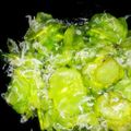 サヨゲ's cooksnap of when they made きゅうりとシラスの甘酢和え.