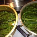ゆまうたか's cooksnap of when they made わらびのアク抜き.