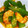 ニョロ11's cooksnap of when they made オクラとエビの簡単炒め♪.