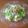 ブランディ's cooksnap of when they made おろしツナ納豆スパゲティ.